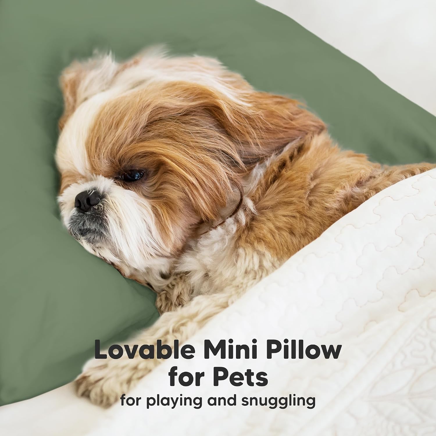 Mini Toddler Pillow with Pillowcase - 9x13 My Little Dreamy Travel Kids Pillow for Sleeping, Toddler Bed, Small, Tiny, Organic Cotton…