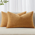 MIULEE Pack of 2 Decorative Throw Pillow Covers Soft Chenille Lumbar Accent Throw Pillows Solid Textured Cushion Covers Home Decor for…