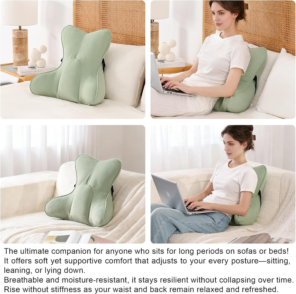 Ailuteie Lumbar Support Pillow (Pat. Pend) for Couch & Recliner, Ergonomic Chair Back Support for Lower Back, Back Support for Couch, with…