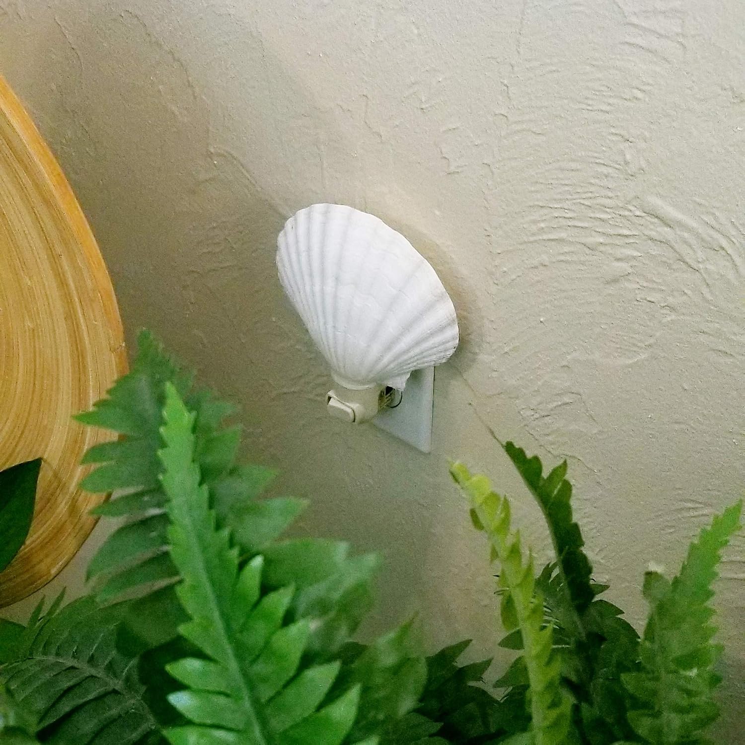 Tumbler Home Real Sea Shell Beach Night Light Real, Natural, Perfect for Beach Home Decor