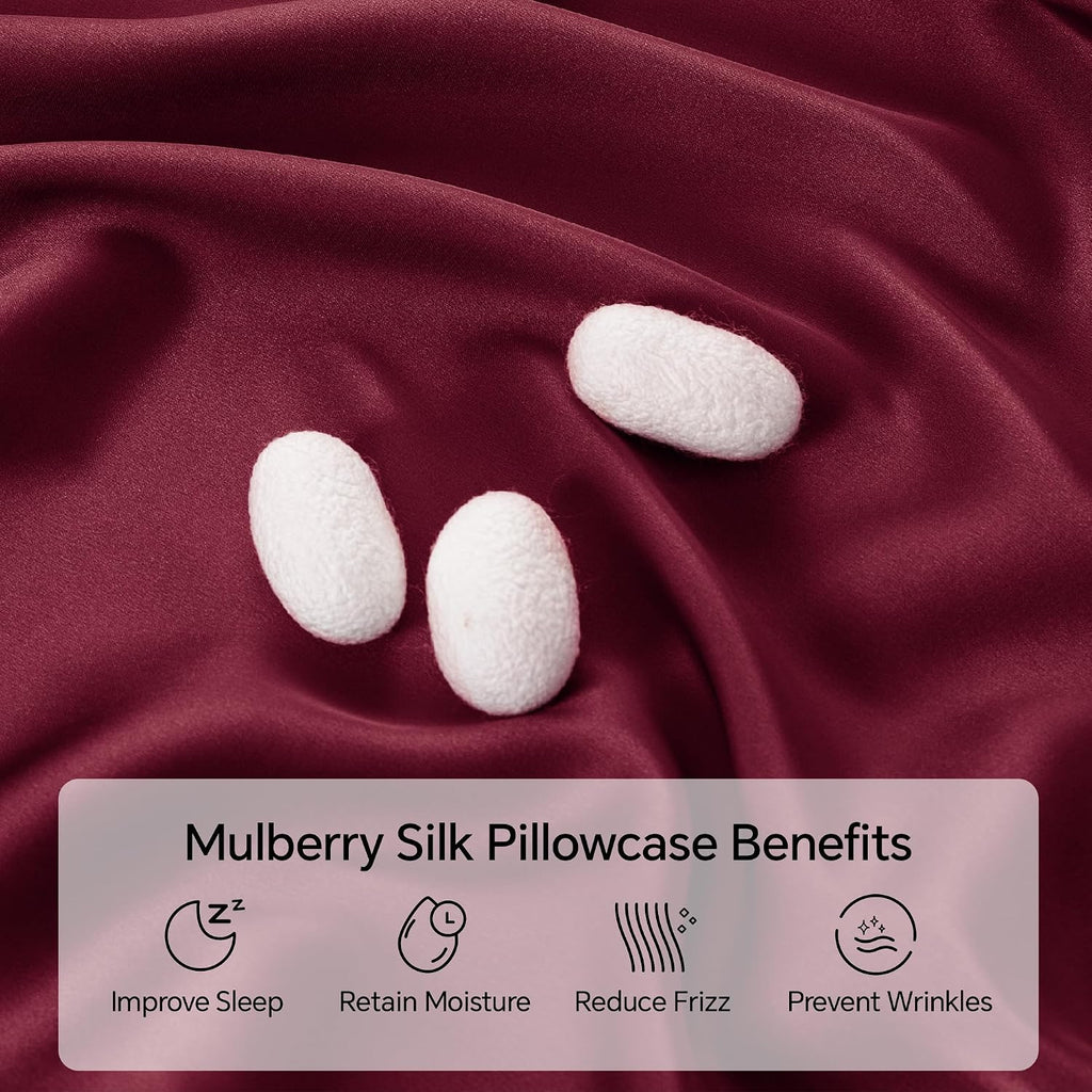 Infiixso Mulberry Silk Pillowcase for Hair and Skin, Silk Pillow Cases Queen Size Set of 2 with Hidden Zipper 20x30 Inches, Smooth and Soft…