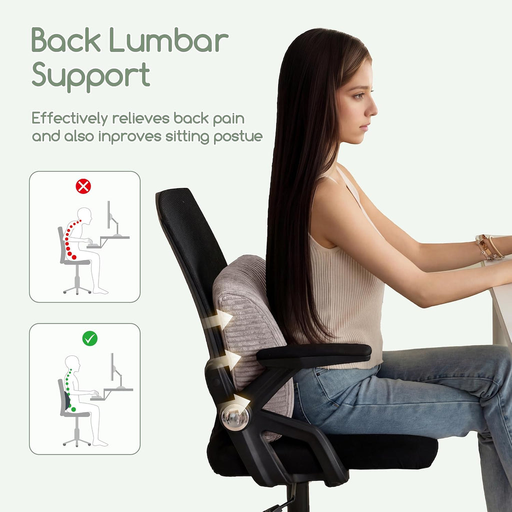 Higogogo Lumbar Support Pillow for Recliner Chair/Accent Chair/Couch, Large Memory Foam Back Support Cushion for Elderly, Recliner Cushions…