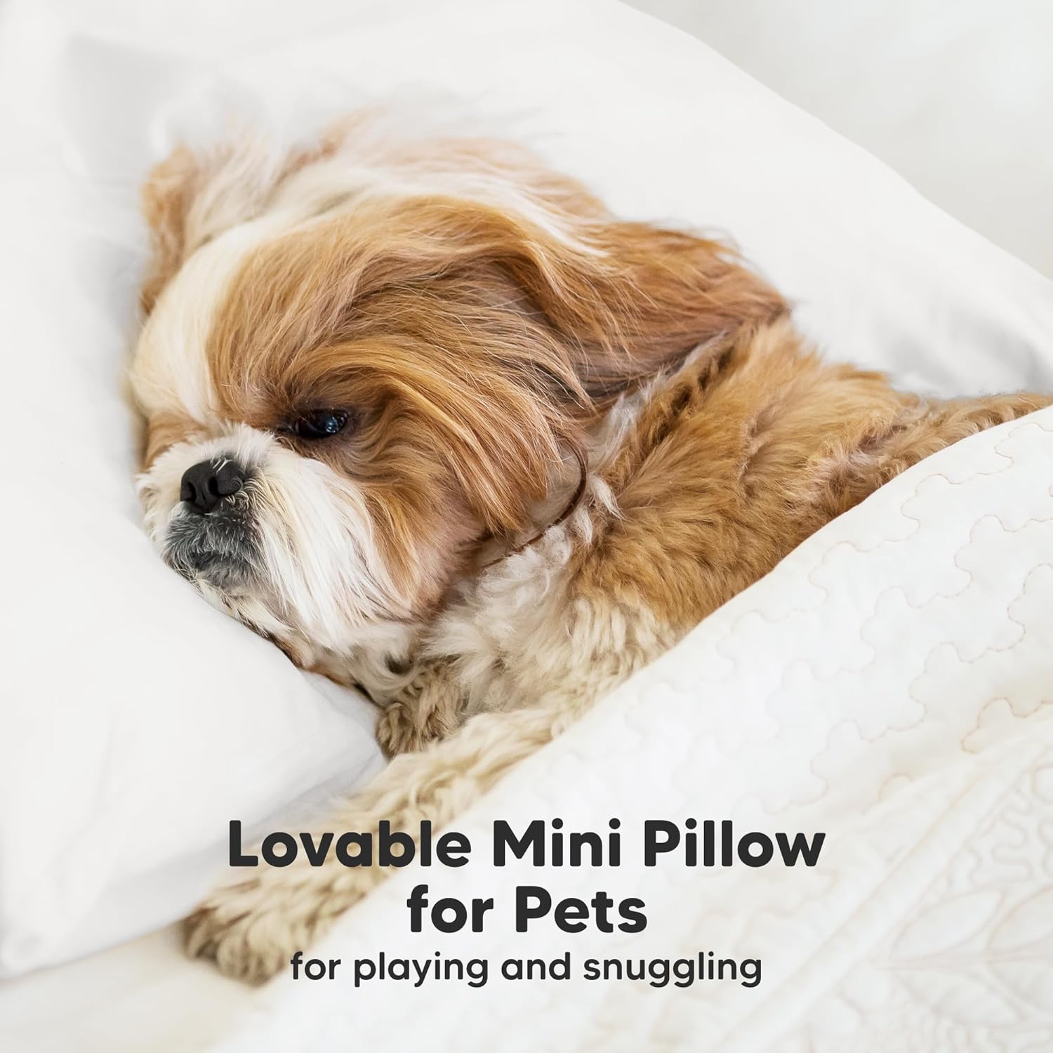 Mini Toddler Pillow with Pillowcase - 9x13 My Little Dreamy Travel Kids Pillow for Sleeping, Toddler Bed, Small, Tiny, Organic Cotton…