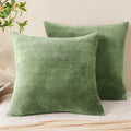 Bedelite Velvet Pillow Covers 26x26 with Zipper, 2 Pack Super Soft Square Pillow Covers for Bedroom, Sofa, Luxury Cozy Fleece Pillowcases f…