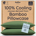 Bambaw 100% Viscose Derived from Bamboo Pillow Cases Queen Size Set of 2, Queen Cooling Pillow Cases with Envelope Closure, Breathable & Su…