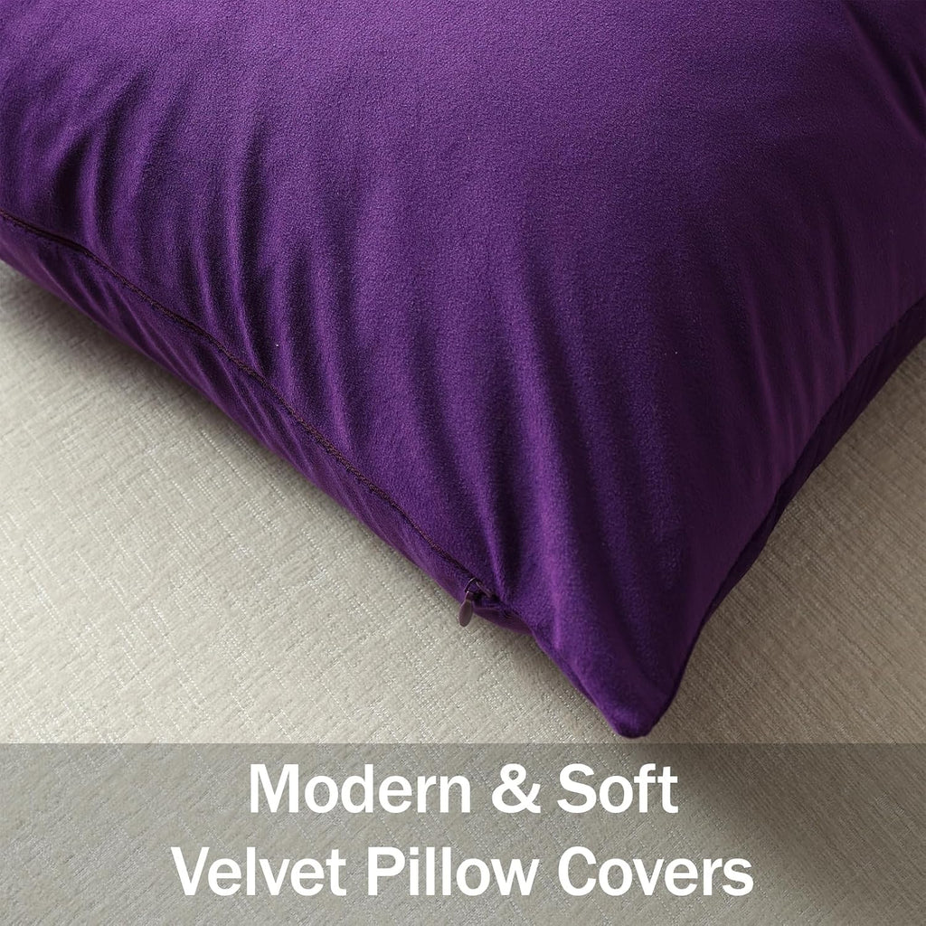 Dezene Euro Sham Covers 24x24 Purple: Pack of 2 Cozy Soft Velvet Square Modern Luxury Decorative Throw Pillow Cases for Sofa Couch Living R…