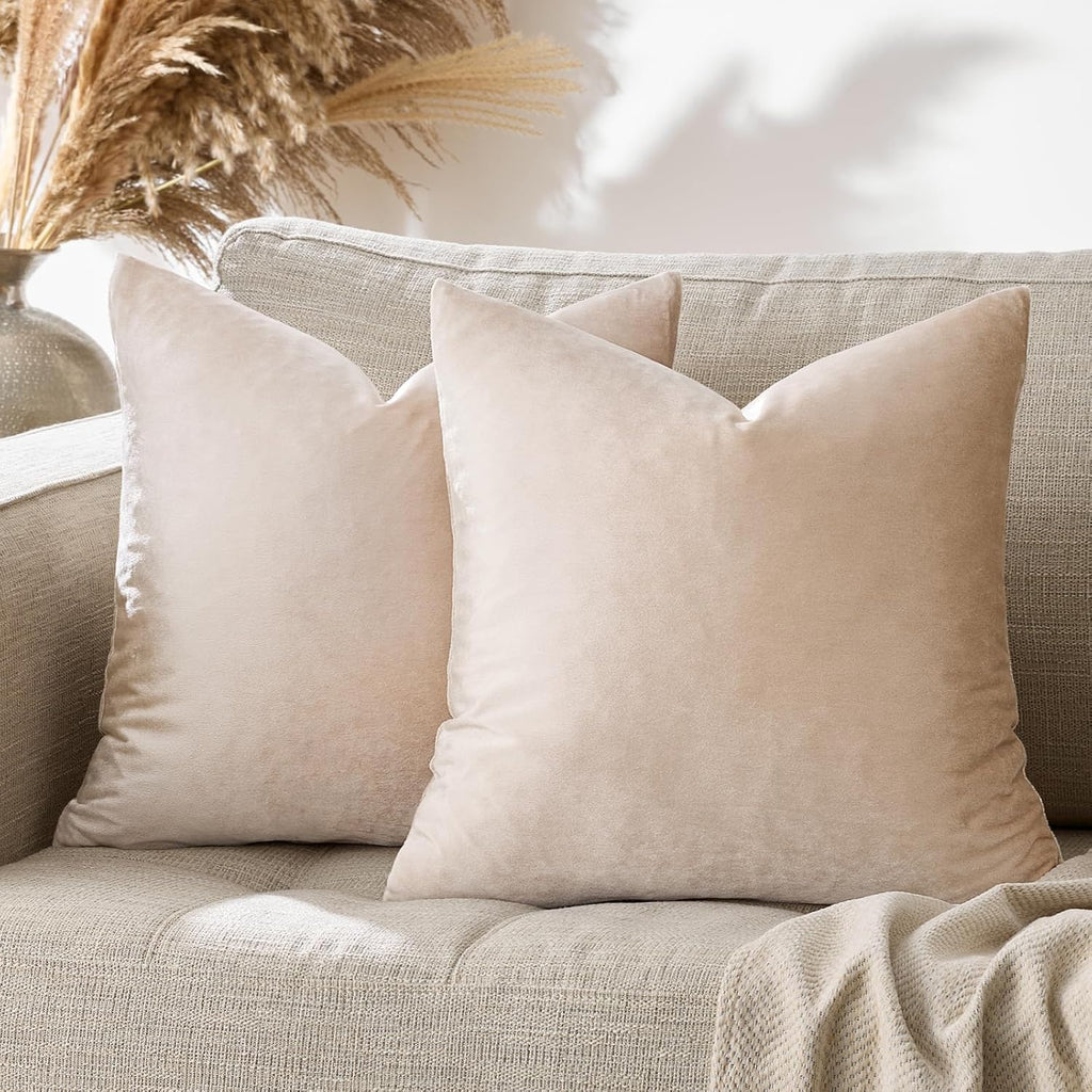 GIGIZAZAFocusingonhomedecoration GIGIZAZA 22x22 Beige Pillow Covers: Pack of 2 Champagne Vintage Throw Pillows Super Soft Velvet Covers - D…