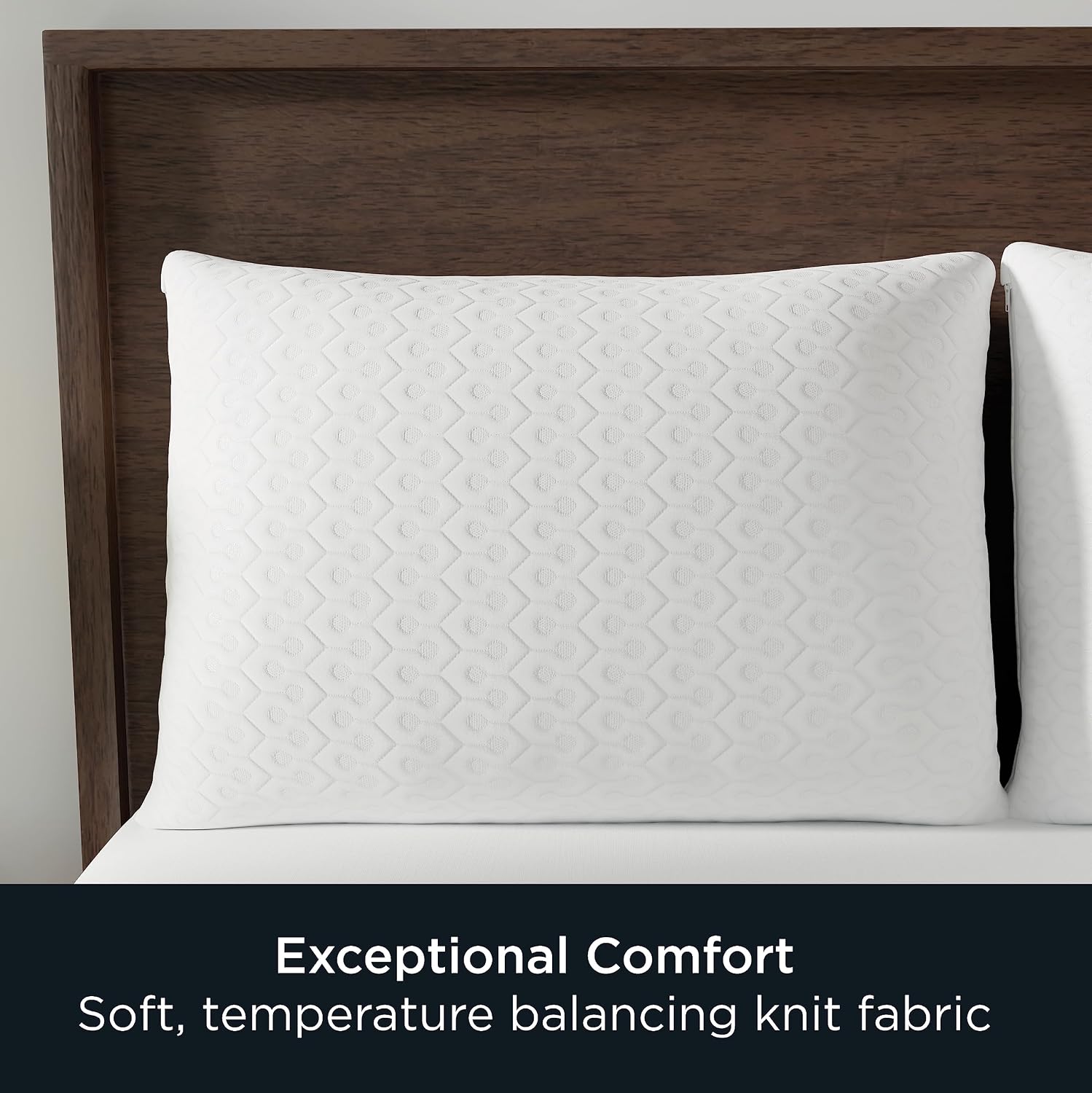 AllerEase Platinum Allergy Defense Particles Proof Temperatur Balancing Luxurious Plush Fabric Machine Washable Durable Zippered Pillow Pro…
