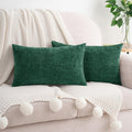Hwy50 HWY 50 Dark Green Lumbar Pillow Covers 12x20 Inch Pack of 2, Soft Chenille Decorative Throw Pillow Covers Farmhouse for Couch Sofa Li…