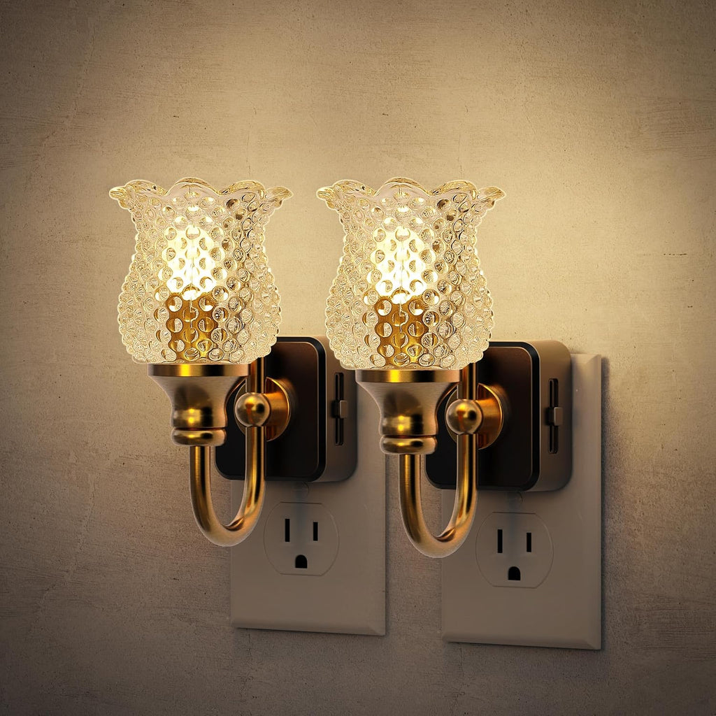 JandCase Night Light, 2 Pack Glass Night Lights Plug into Wall, Dimmble Floral LED Nightlight, 0-100 LM Flower Nightlights, Dusk to Dawn…