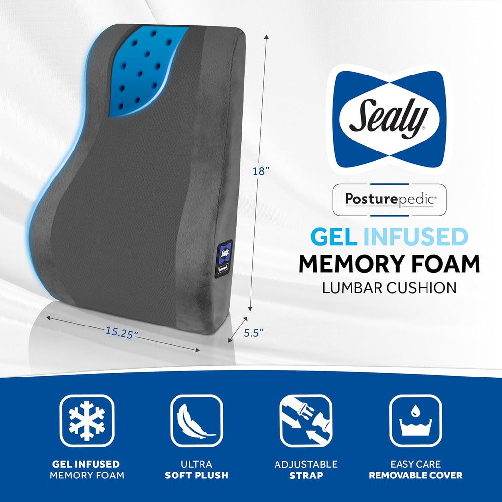 Sealy High Back Memory Foam Lumbar Support Pillow for Office Chair or Gaming Chair, Orthopedic Back Pillow for Car Seat, Gray Gray
