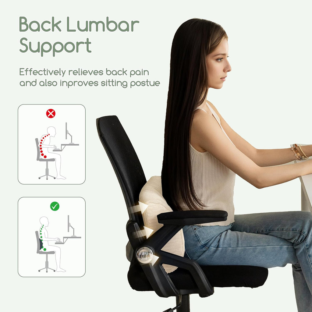 Higogogo Lumbar Support Pillow for Recliner Chair/Accent Chair/Couch, Memory Foam Back Support Cushion for Elderly, Recliner Cushions for B…