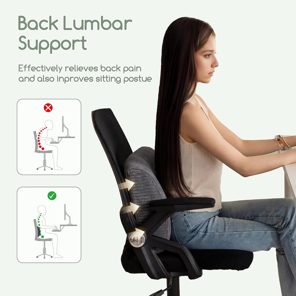 Higogogo Lumbar Support Pillow for Recliner Chair/Accent Chair/Couch, Large Memory Foam Back Support Cushion for Elderly, Recliner Cushions…