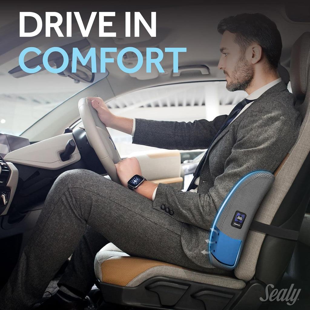 Sealy Lumbar Support Pillow with Cooling Gel – Ergonomic Office Chair Cushion for Back Support – Memory Foam Back Pillow for Car, Office…