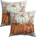 Fall Pumpkins Outdoor Pillows 20x20 Inch Set of 2 Autumn Harvest Pumpkin Pillowcase Buffalo Plaid Maple Leaves Decorative Throw Cushion…