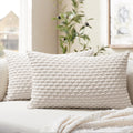 Softalker Throw Pillow Covers 12x20 Inch, Set of 2, Soft Corduroy Boho Stripe Decorative Pillow Cover, Couch Fluffy Pillow Cover for…