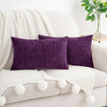Hwy50 HWY 50 Purple Lumbar Pillow Covers 12x20 Inch Pack of 2, Soft Chenille Decorative Throw Pillow Covers Farmhouse for Couch Sofa Living…