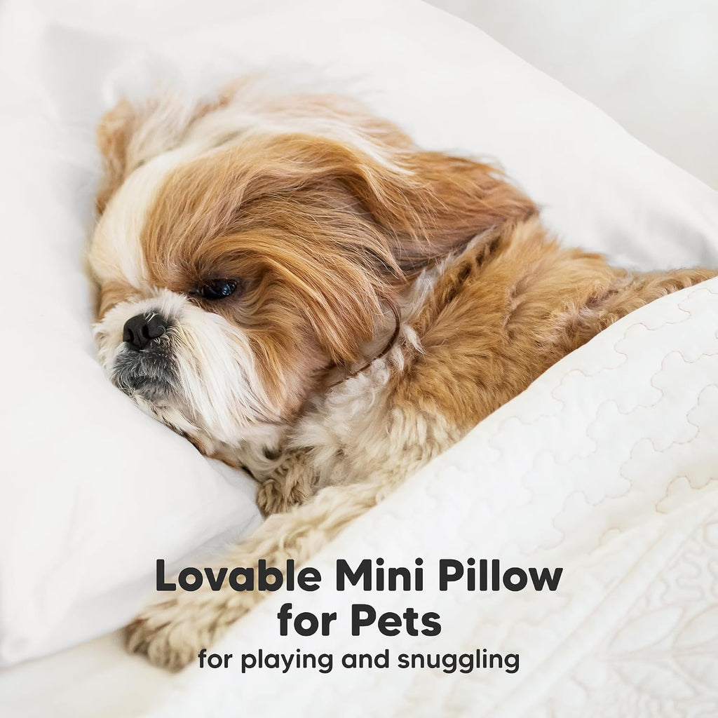 Mini Toddler Pillow with Pillowcase - 9x13 My Little Dreamy Travel Kids Pillow for Sleeping, Toddler Bed, Small, Tiny, Organic Cotton…