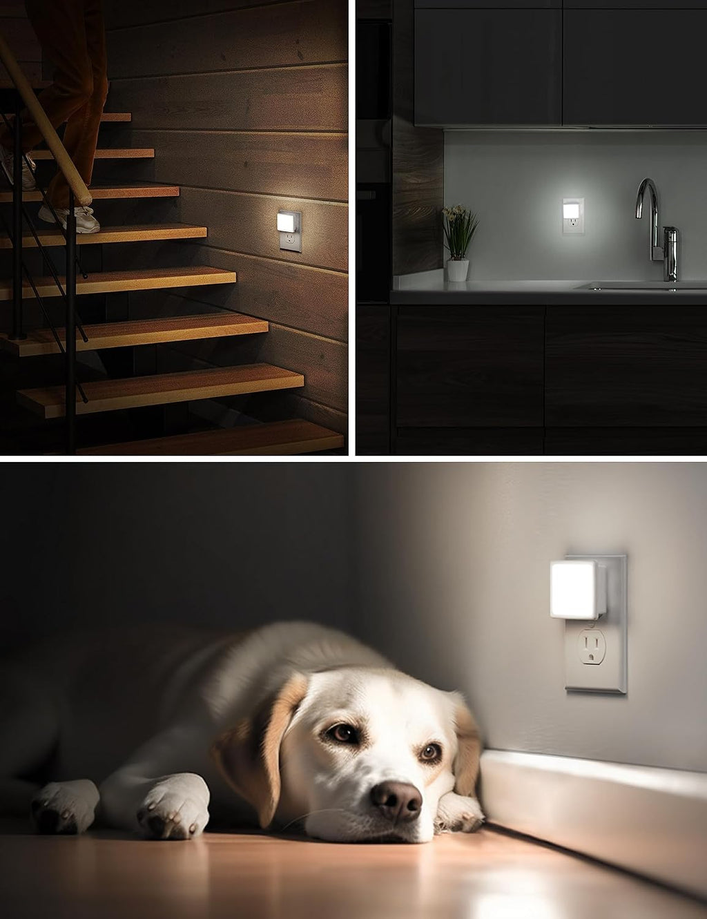 L LOHAS LED Night Lights Plug into Wall, [6-Pack] Plug in Night Light, Dusk-to-Dawn Sensor, 5000K Daylight 0.3W Bright Nightlight…