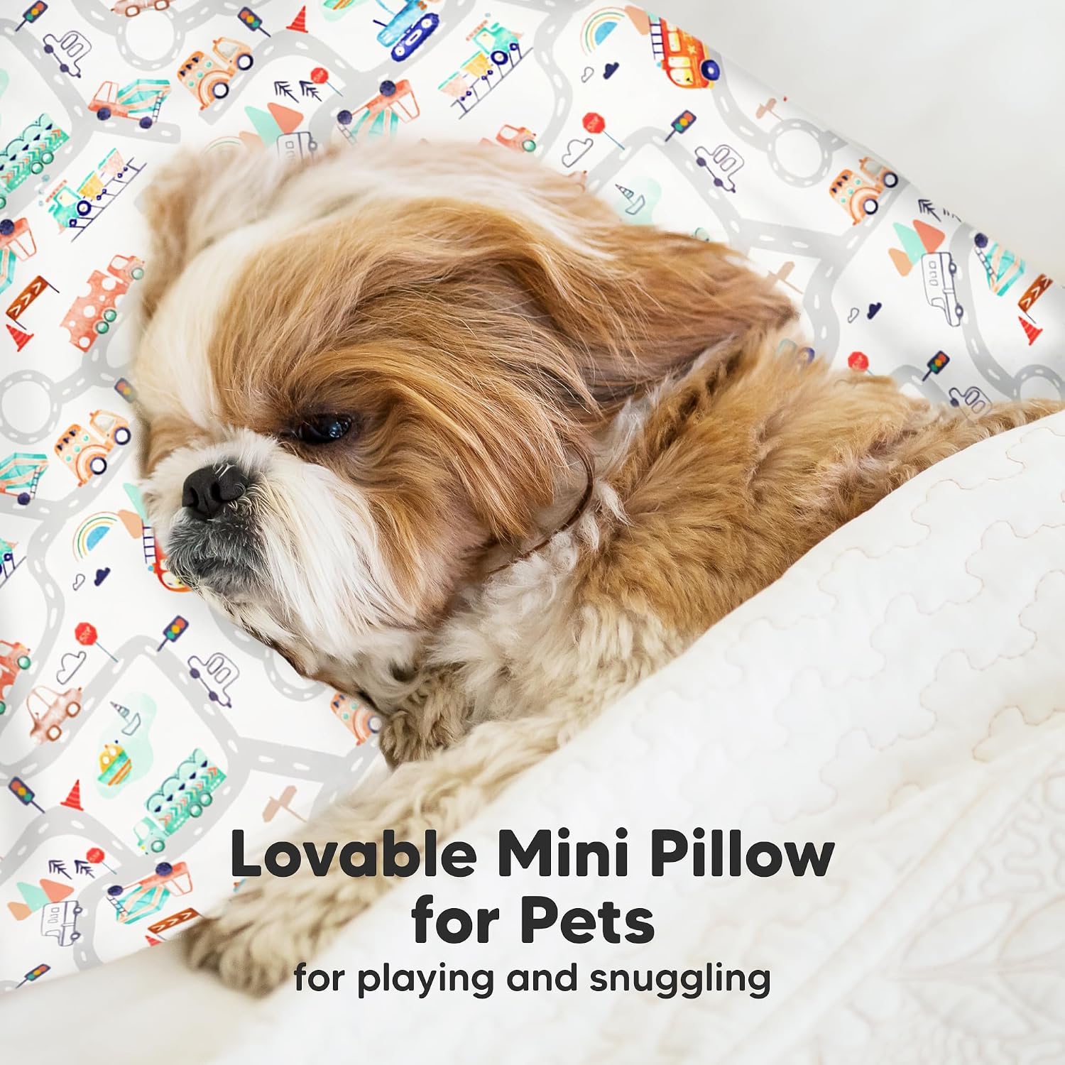 Mini Toddler Pillow with Pillowcase - 9x13 My Little Dreamy Travel Kids Pillow for Sleeping, Toddler Bed, Small, Tiny, Organic Cotton…