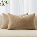 MIULEE Pack of 2 Decorative Throw Pillow Covers Soft Chenille Lumbar Accent Throw Pillows Solid Textured Cushion Covers for Couch Sofa…