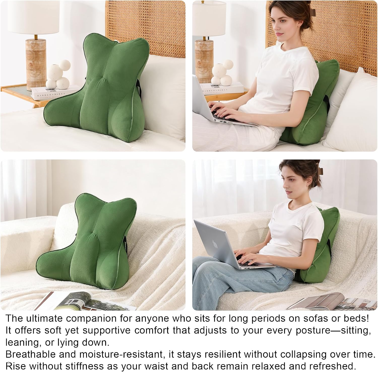 Ailuteie Lumbar Support Pillow(Pat. Pend) for Lower Back – Multi-Functional Ergonomic Lumbar Cushion, Reading Pillow for Office Chair, Car…