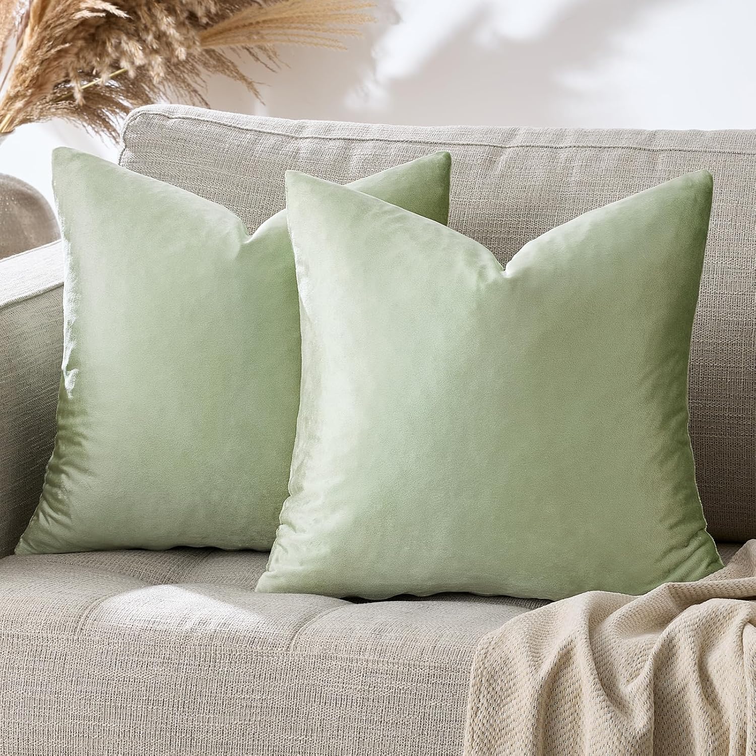 GIGIZAZAFocusingonhomedecoration GIGIZAZA Throw Pillow Covers 22x22 Inch Sage Green Velvet Pillows Decorative Covers Pack of 2 for Sofa Pil…