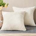 Bedelite Velvet Pillow Covers 26x26 with Zipper, 2 Pack Super Soft Square Pillow Covers for Bedroom, Sofa, Couch, Luxury Cozy Fleece Pillowc…
