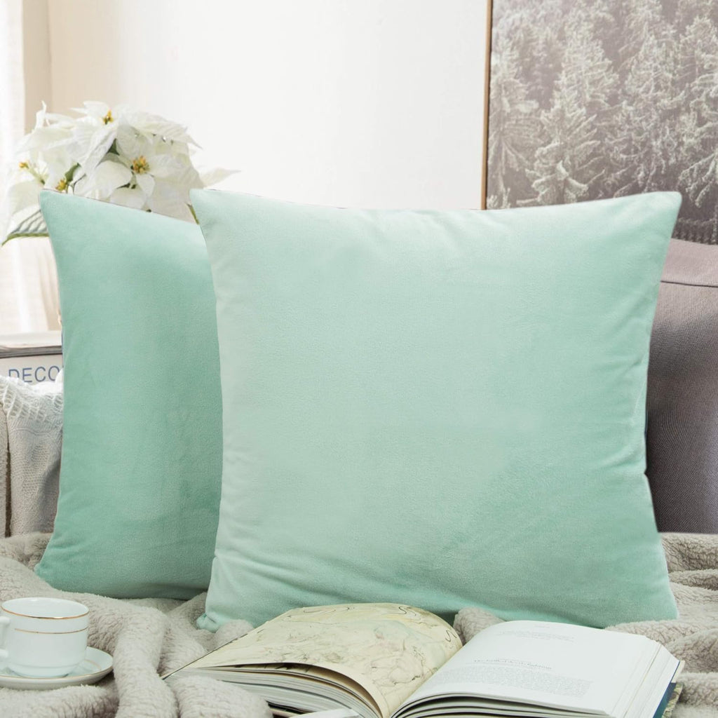 Ntbay Zippered Velvet Square Throw Pillow Covers, 2 Pack Soft and Luxury Decorative Cushion Cases, 18x18 Inches, Cyan 2 Pack silver