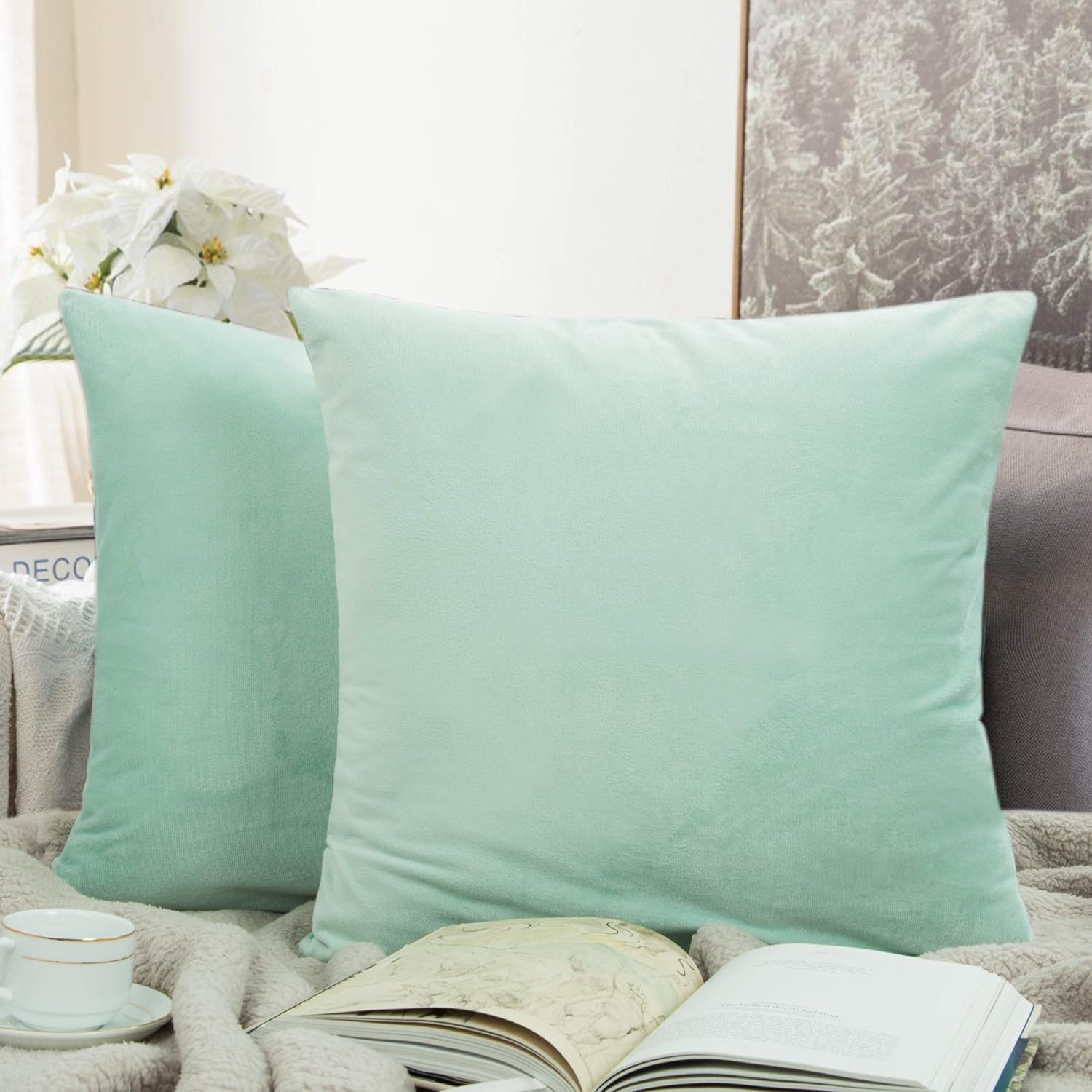 Ntbay Zippered Velvet Square Throw Pillow Covers, 2 Pack Soft and Luxury Decorative Cushion Cases, 18x18 Inches, Cyan 2 Pack silver