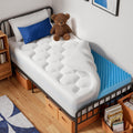 OhGeni Cooling 5 Inch Twin XL Dual Layer Mattress Topper, 3 Inch Egg Crate Gel Memory Foam, 2 Inch Pillow Top Pad, College Dorm Essentials…