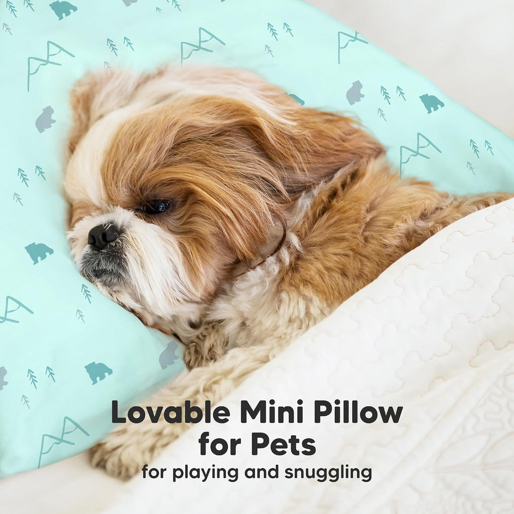 Mini Toddler Pillow with Pillowcase - 9x13 My Little Dreamy Travel Kids Pillow for Sleeping, Toddler Bed, Small, Tiny, Organic Cotton…