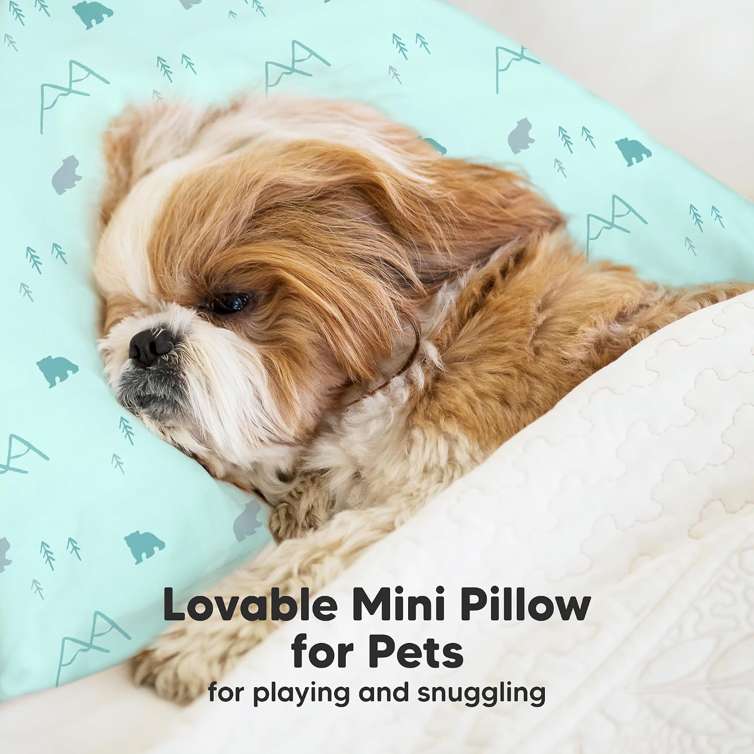 Mini Toddler Pillow with Pillowcase - 9x13 My Little Dreamy Travel Kids Pillow for Sleeping, Toddler Bed, Small, Tiny, Organic Cotton…