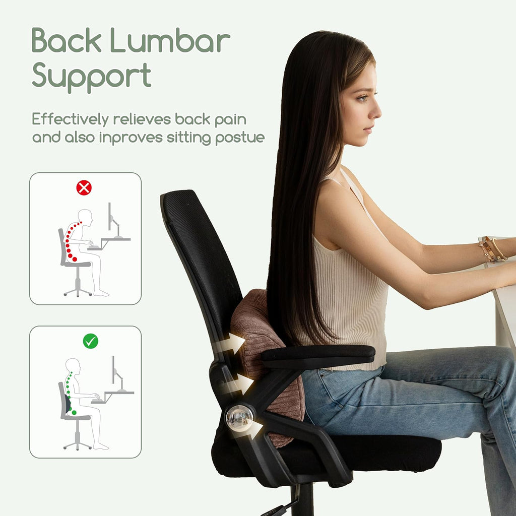 Higogogo Lumbar Support Pillow for Recliner Chair/Accent Chair/Couch, Memory Foam Back Support Cushion for Elderly, Recliner Cushions for B…