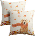 Golden Retriever Dog Fall Throw Pillow Cover Autumn Maple Leaves Farmhouse Pillowcase Cute Pet Modern Thanksgiving Decorative Pillow…