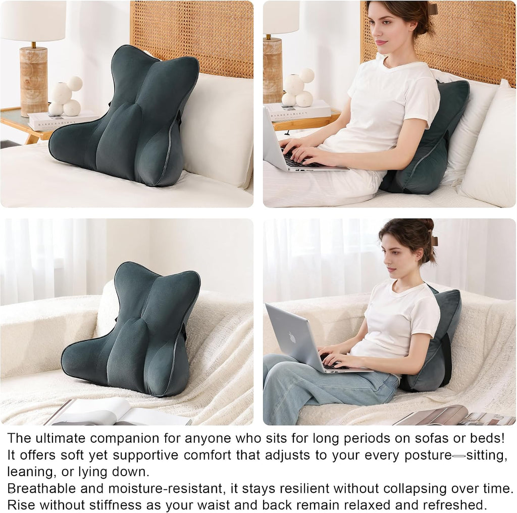 Ailuteie Lumbar Support Pillow(Pat. Pend) for Lower Back – Multi-Functional Ergonomic Lumbar Cushion, Reading Pillow for Office Chair, Car…