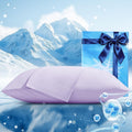 Cooling Pillow Cases 2 Pack Standard Size Cooling Pillowcases for Hot Sleeper Q-Max>0.5, Hydrates Skin & Hair, Reduces Wrinkles & Frizz…