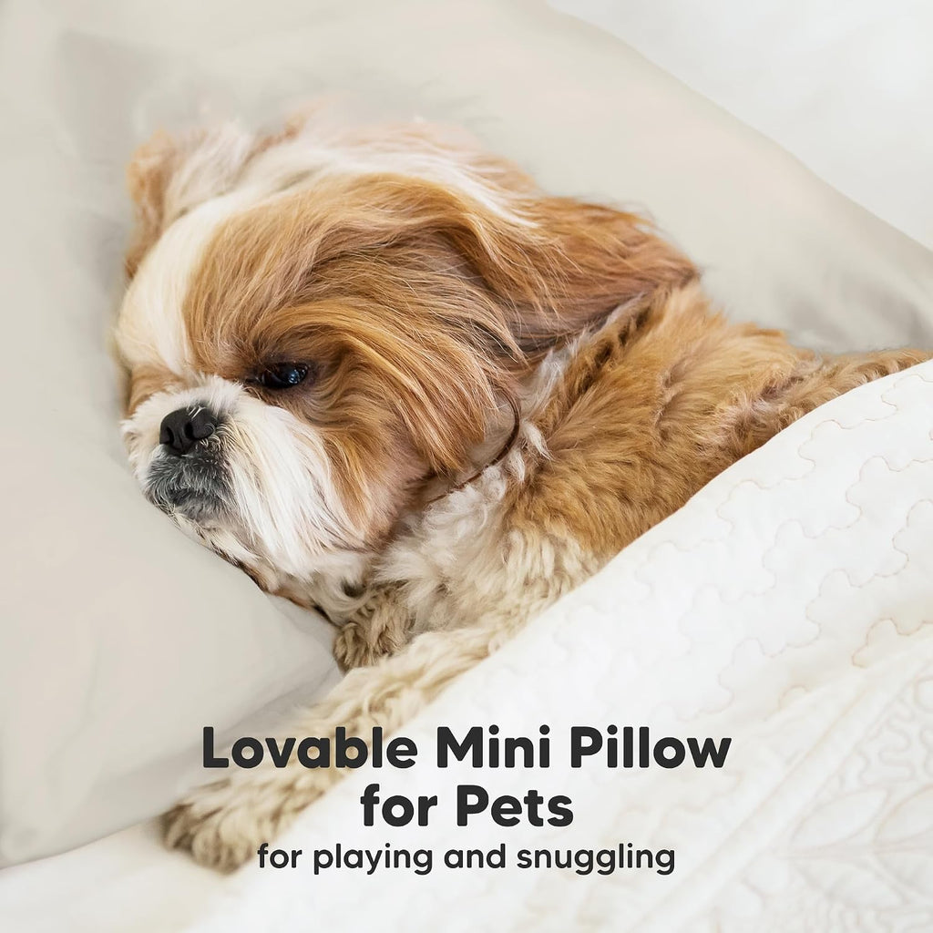 Mini Toddler Pillow with Pillowcase - 9x13 My Little Dreamy Travel Kids Pillow for Sleeping, Toddler Bed, Small, Tiny, Organic Cotton…