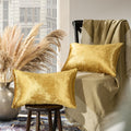 GIGIZAZAFocusingonhomedecoration GIGIZAZA Gold Velvet Decorative Throw Pillow Covers for Sofa Bed 2 Pack Soft Cushion Cover 12x20 2 Pack Go…
