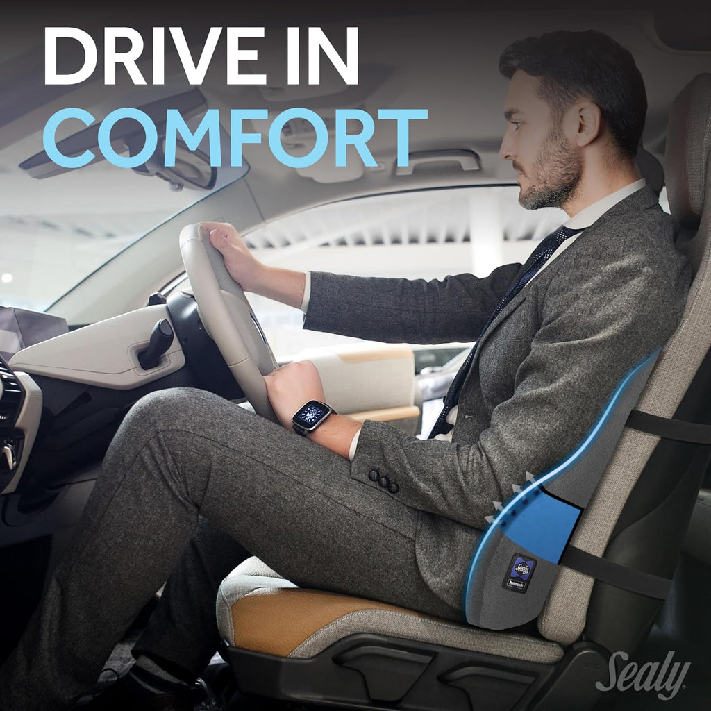 Sealy High Back Memory Foam Lumbar Support Pillow for Office Chair or Gaming Chair, Orthopedic Back Pillow for Car Seat, Gray Gray
