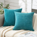 Gawamay Decorative Square Throw Pillow Covers Set of 2 for Sofa, Super Soft Chenille Farmhouse Pillowcases for Living Room Bedroom Home Dec…