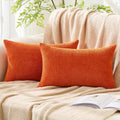 Gawamay Set of 2 Decorative Lumbar Soft Chenille Throw Pillow Covers 12x20 Inch (30x50 CM), Boho Farmhouse Cushion Cases, Couch Pillow Cove…