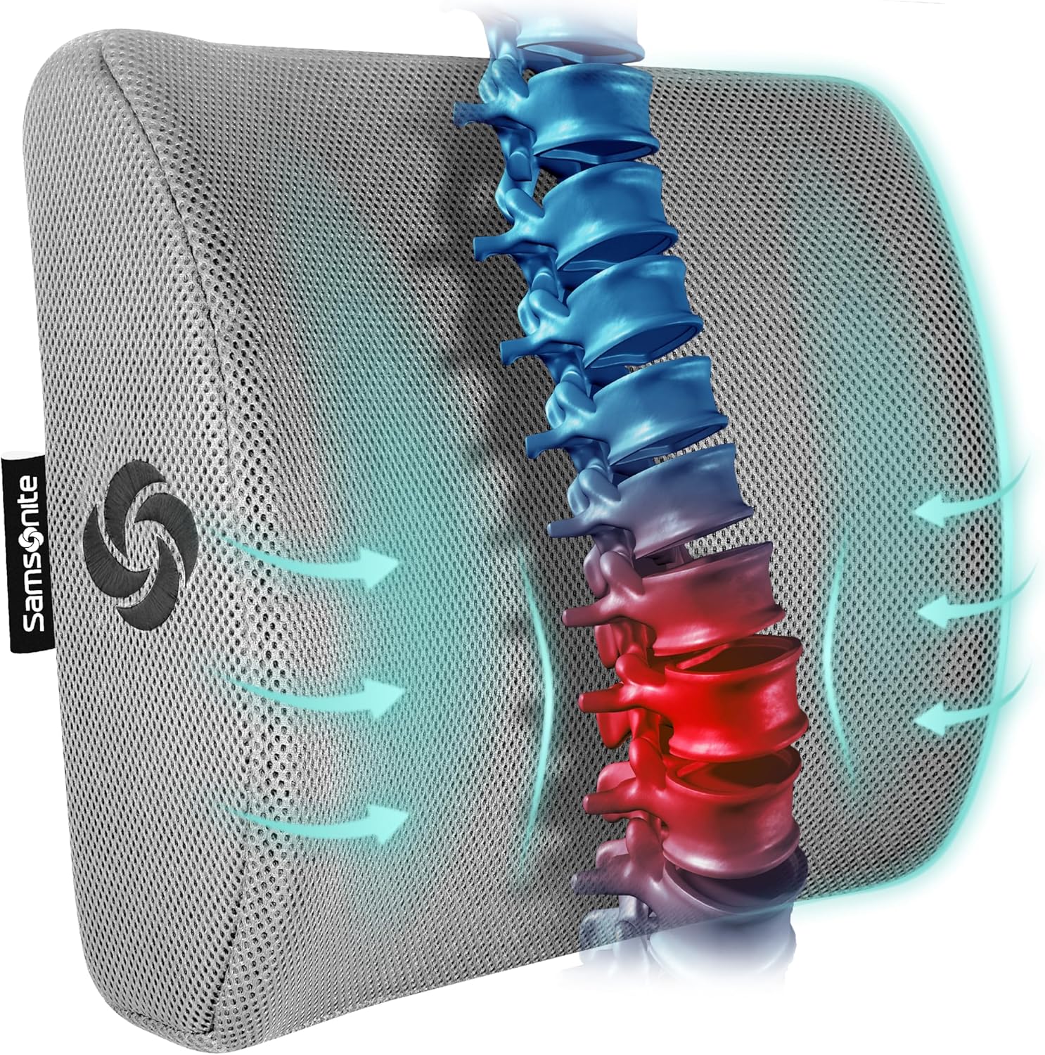 Samsonite Memory Foam Lumbar Support Pillow for Office Chair, Gaming Chair & Car Seat Automotive Use, Ergonomic Back Cushion, Work from…