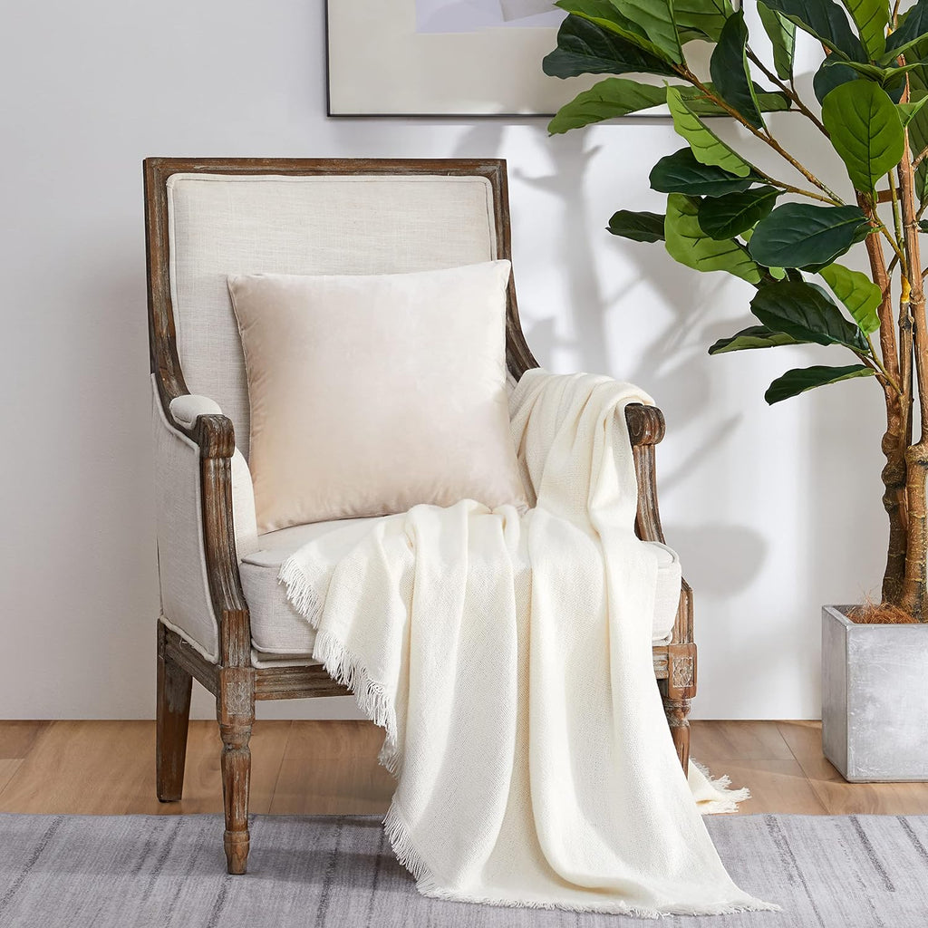 GIGIZAZAFocusingonhomedecoration GIGIZAZA Beige Pillow Covers 22x22: Pack of 2 Throw Pillows Soft Solid Covers - Velvet Decorative Modern C…