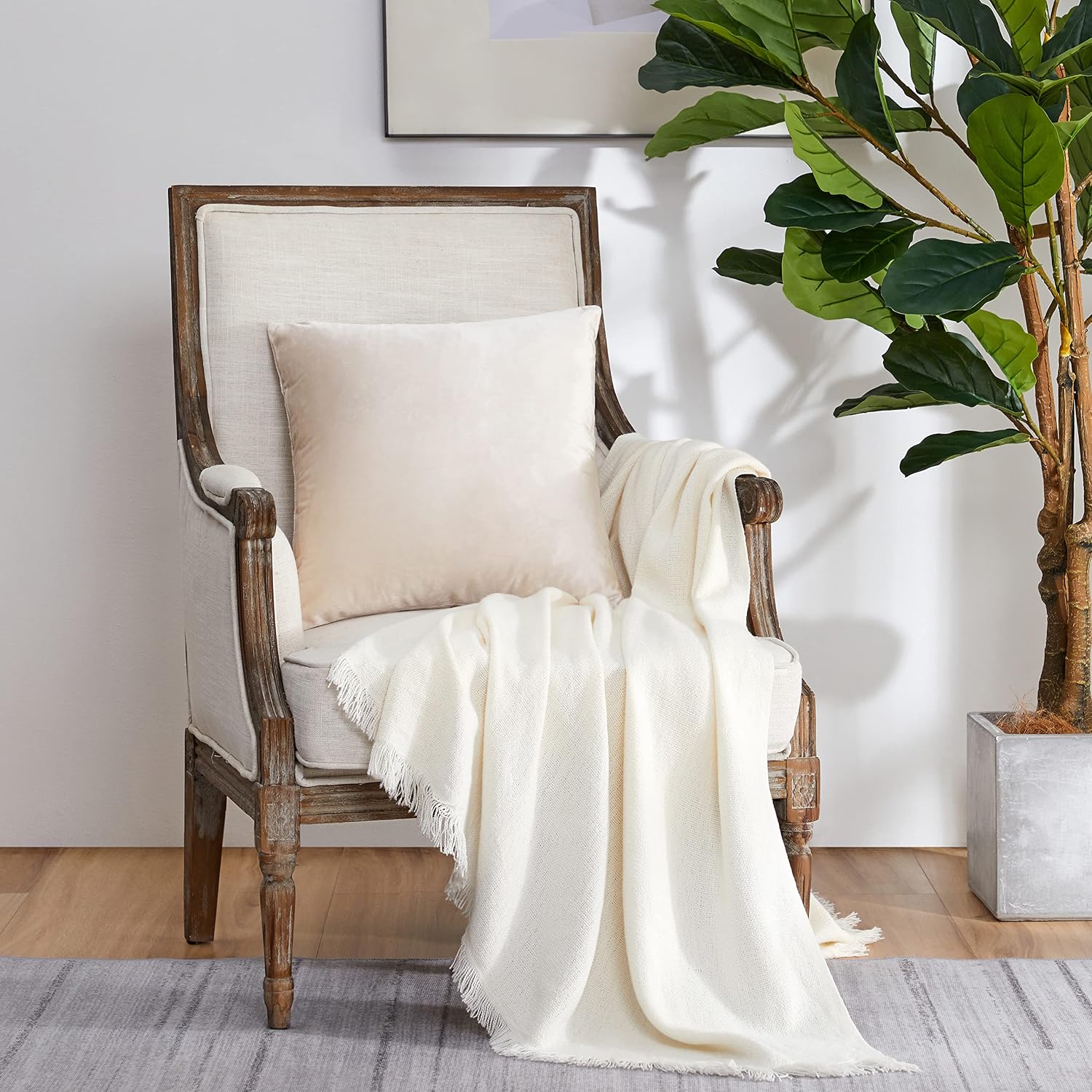 GIGIZAZAFocusingonhomedecoration GIGIZAZA Beige Pillow Covers 22x22: Pack of 2 Throw Pillows Soft Solid Covers - Velvet Decorative Modern C…