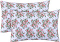 FEATHER & STITCH NEW YORK 100% Cotton 2 Piece Queen Pillow Cases, 300TC Ultra-Soft Pillowcases with Envelope Closure, Wrinkle- Fade…