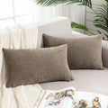 Gawamay Lumbar Pillow Decorative Rectangle Throw Pillow Covers 12"x20" Inch Set of 2, Super Soft Chenille Pillowcase for Living Room Bedroo…