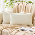 Gawamay Pack of 2 Decorative Lumbar Throw Pillow Covers 20x12 Inch, Soft Chenille Boho Farmhouse Cushion Cases, Couch Pillow Covers for Liv…