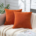 Gawamay Decorative Square 16x16 Inch Throw Pillow Covers Set of 2, Super Soft Chenille Pillows Farmhouse Fall Pillowcase for Living Room Be…