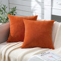 Gawamay Decorative Square Throw Pillow Covers 22"x22" Inch Set of 2, Super Soft Chenille Pillows Farmhouse Fall Pillowcase for Living Room…